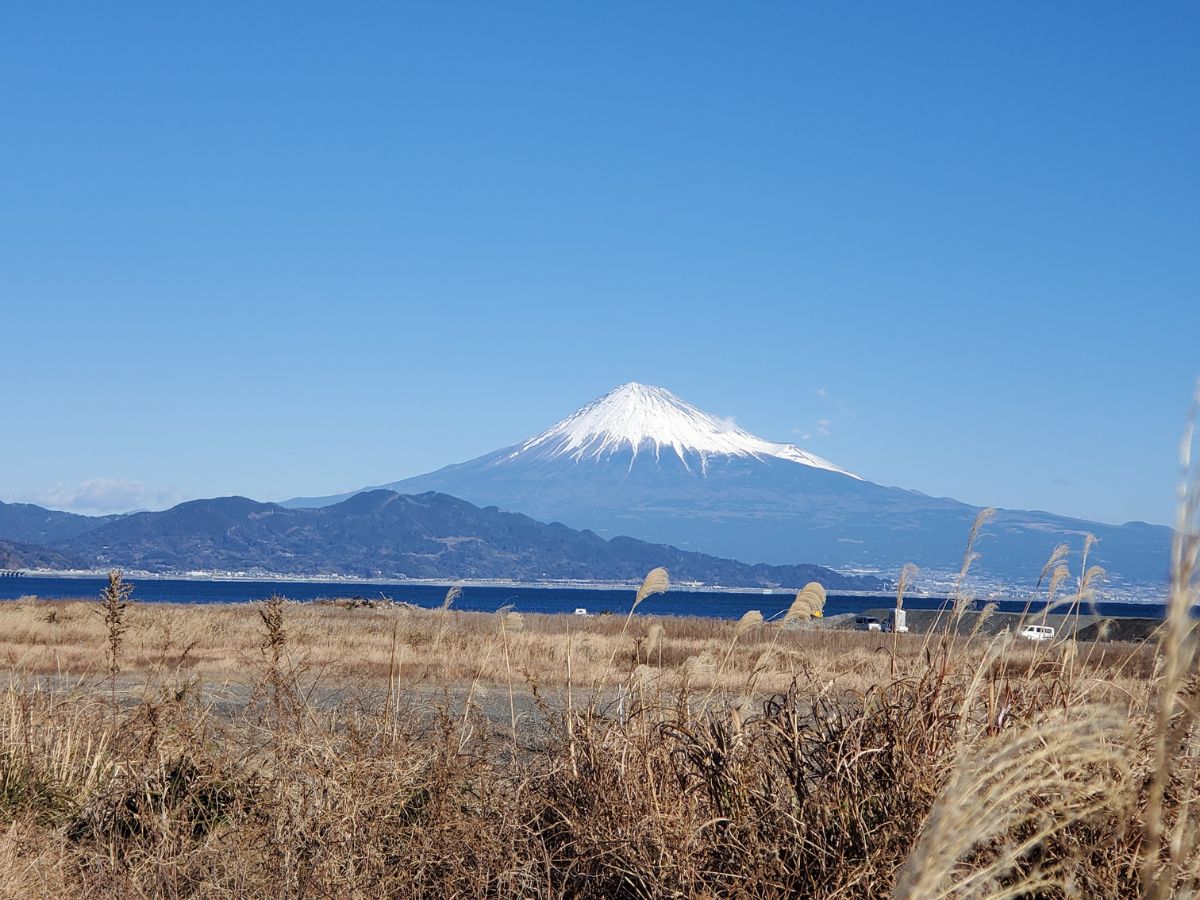 清水三保海浜公園