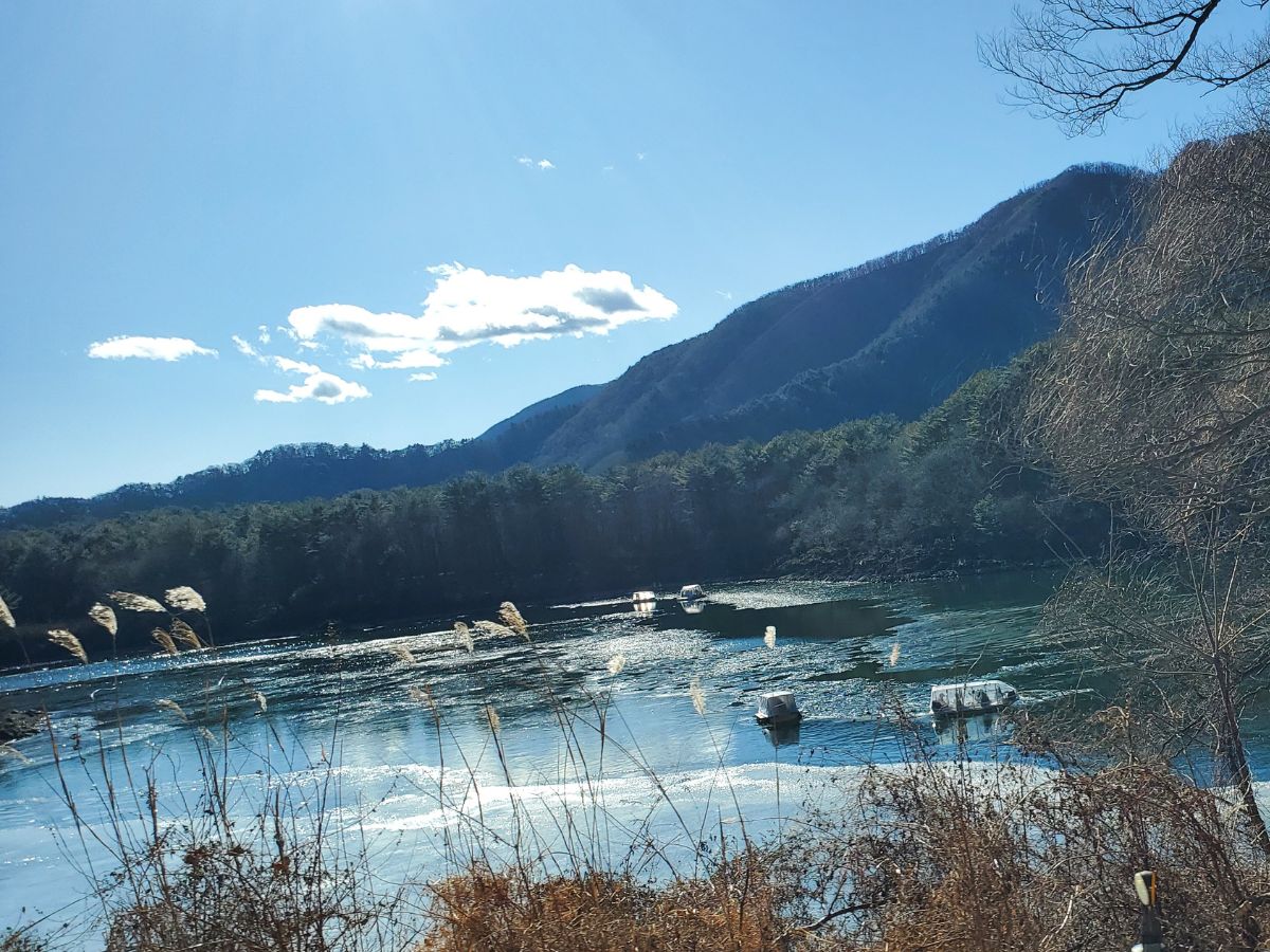 精進湖でワカサギ釣り？