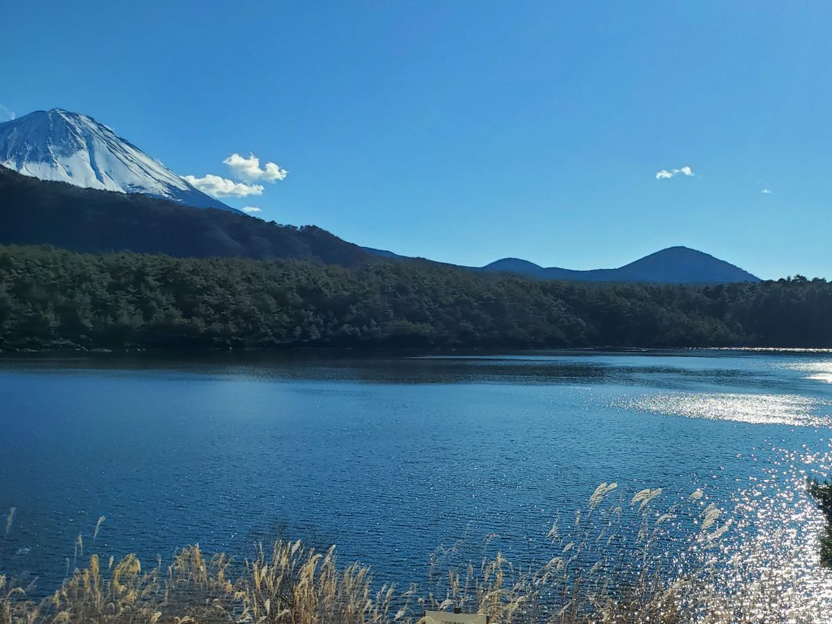 西湖から富士山