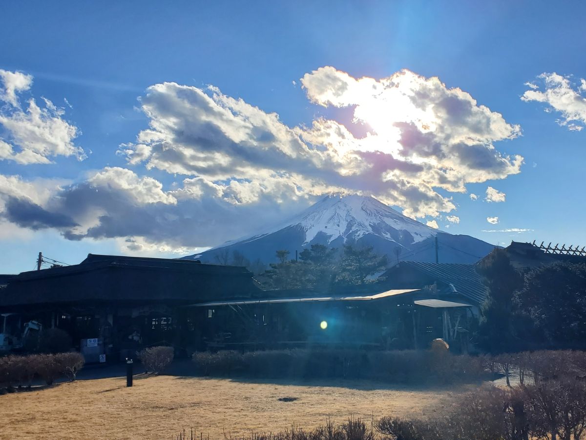 八海菖蒲池公園からの富士山