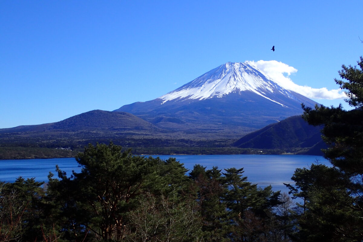 本栖湖から富士山